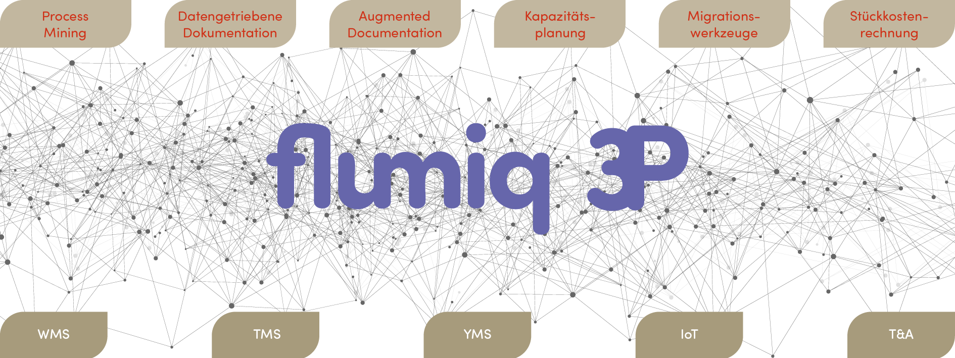 flumiq 3 P Netzwerk Schaubild